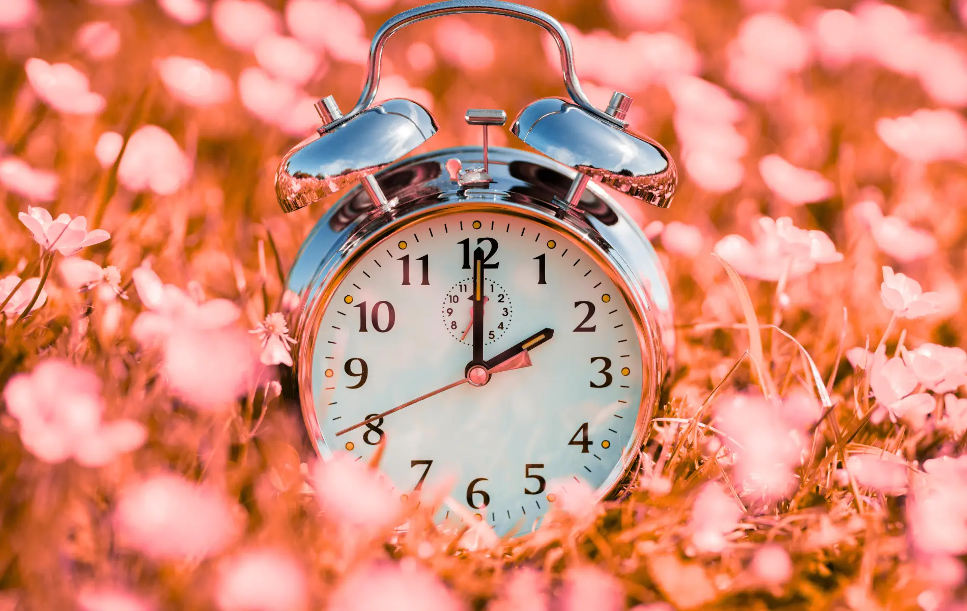 A clock in a flower field
