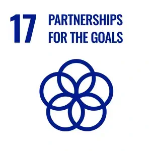 SDG 17