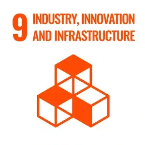 SDG 9